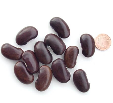 Stangenbohne Inca Pea Bean