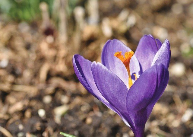 Nerven bewahren und den Frühling genießen!