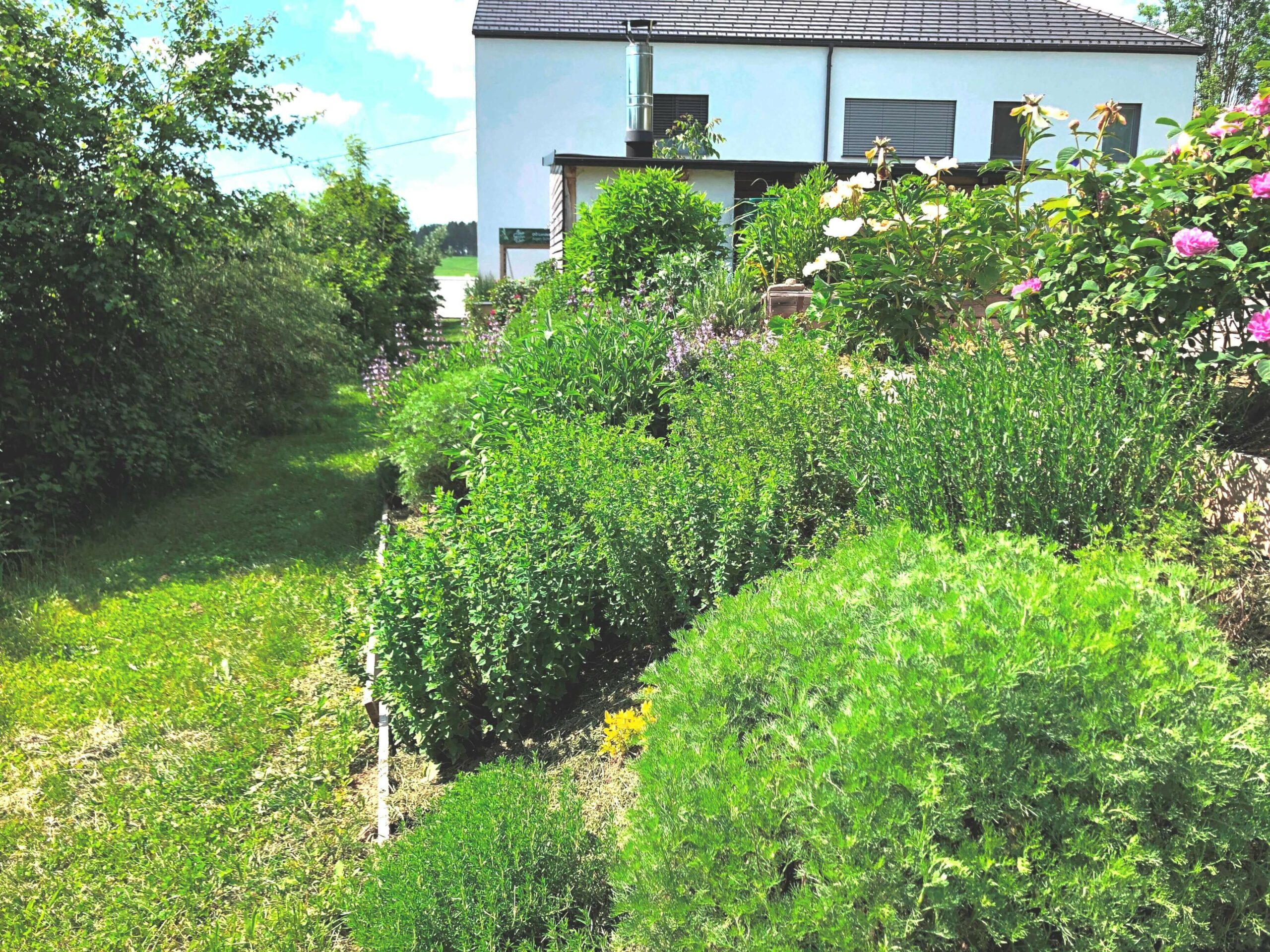 Kräuterböschung