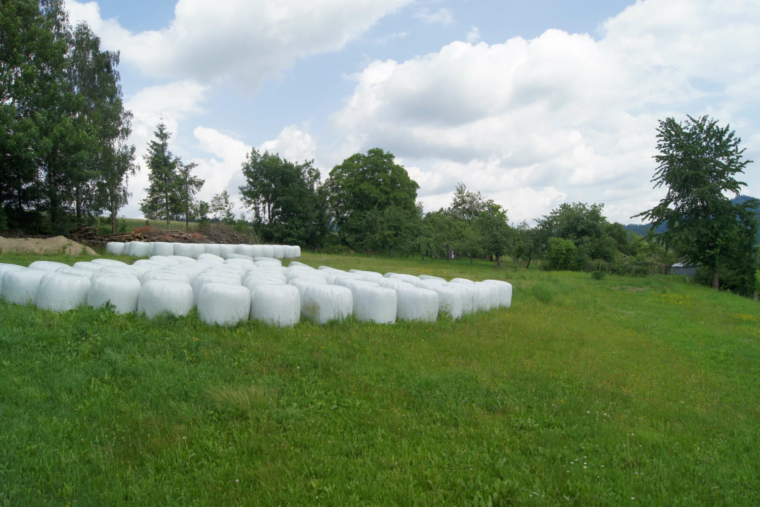 Siloballen