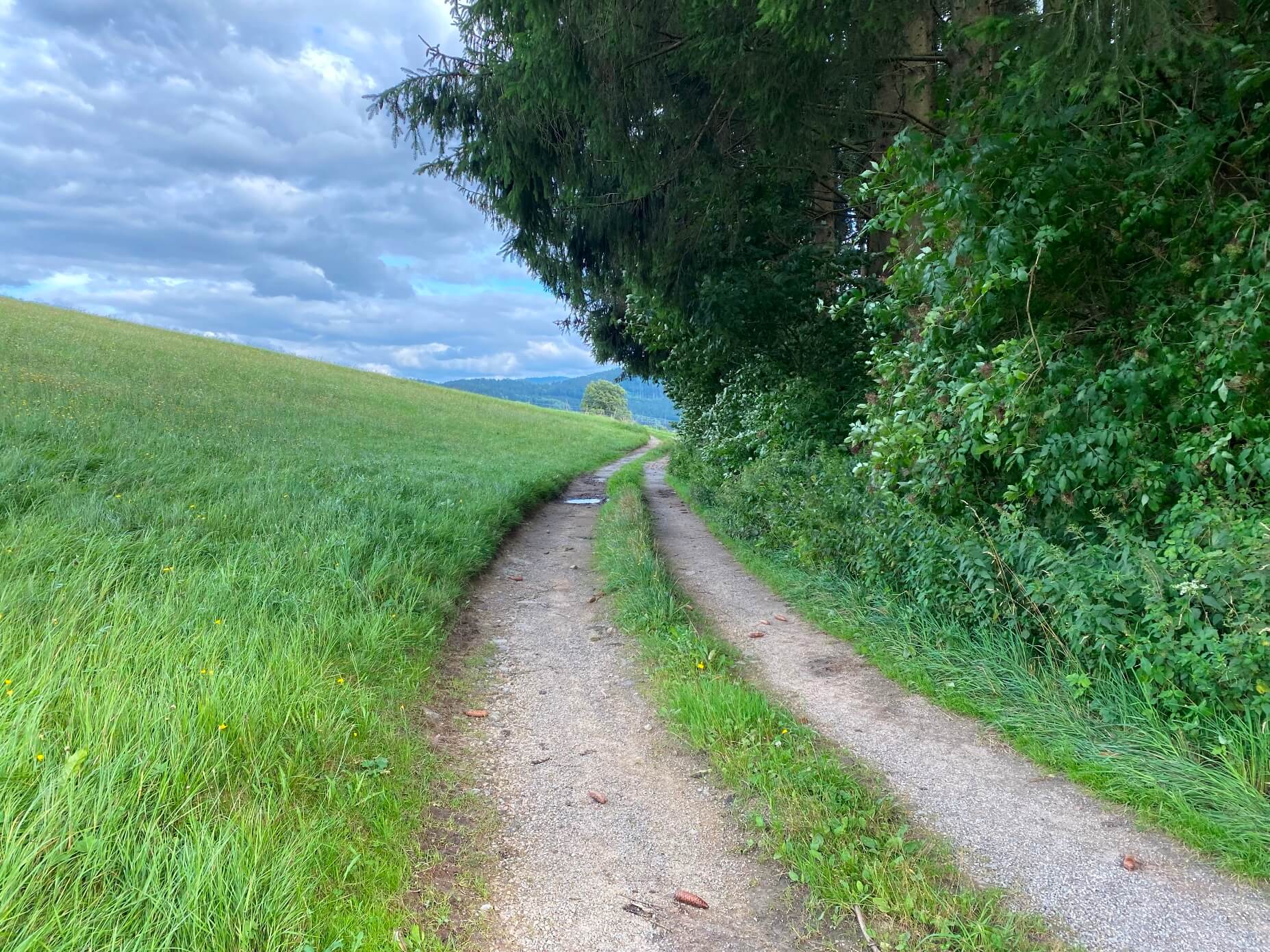 Waldrand
